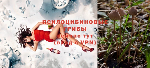 ALPHA PVP Осташков