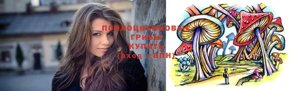 прущие крисы Осинники