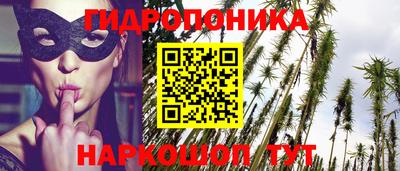 стафф Абакан