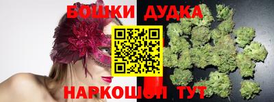 прущие грибы Гагарин