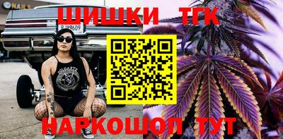 гидропоника Гатчина