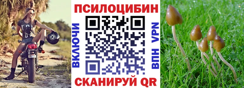 Галлюциногенные грибы Psilocybe  блэк спрут зеркало  Алатырь  наркотики 