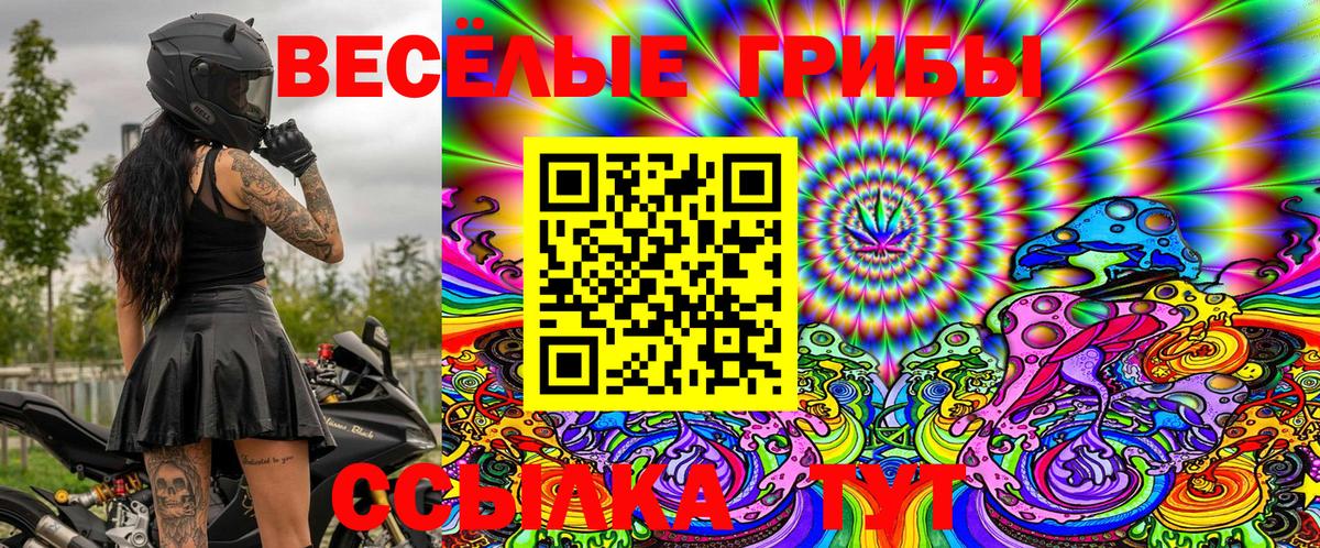 Псилоцибиновые грибы Magic Shrooms Алатырь