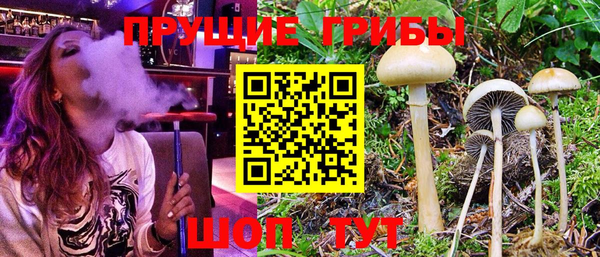 Алатырь  Галлюциногенные грибы ЛСД  Вход с VPN 
