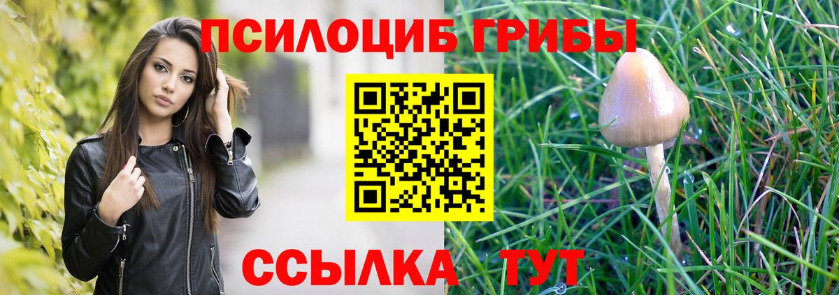 Галлюциногенные грибы Magic Shrooms Алатырь