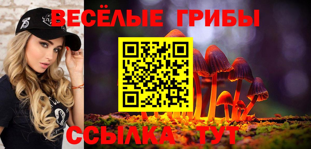 Галлюциногенные грибы Magic Shrooms Алатырь
