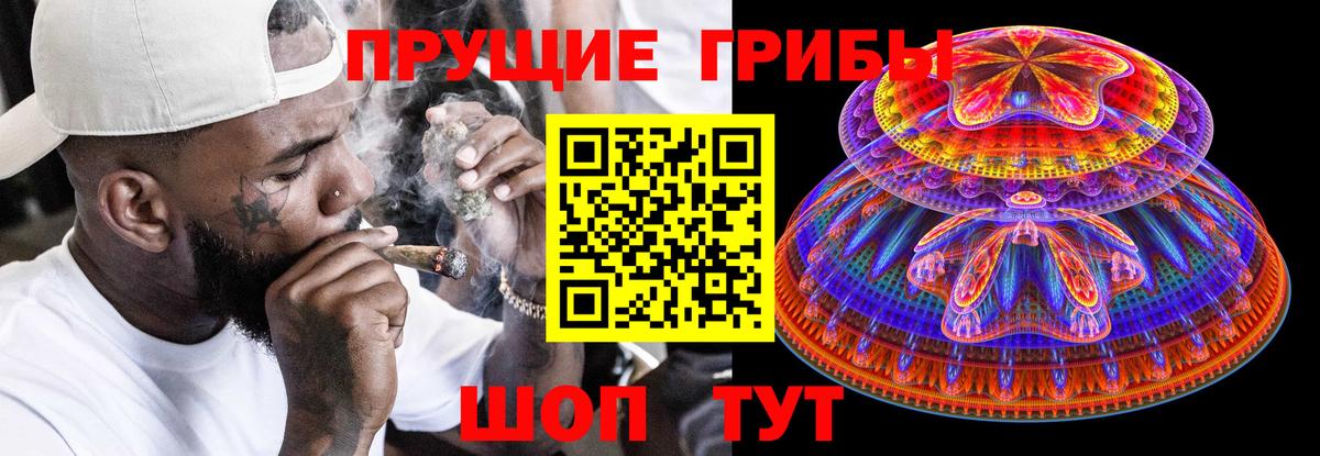 Галлюциногенные грибы Psilocybine cubensis  Вход с VPN  Алатырь 
